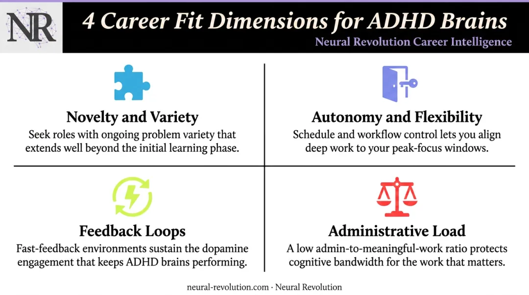 Four ADHD career fit dimensions novelty autonomy feedback and administrative load framework