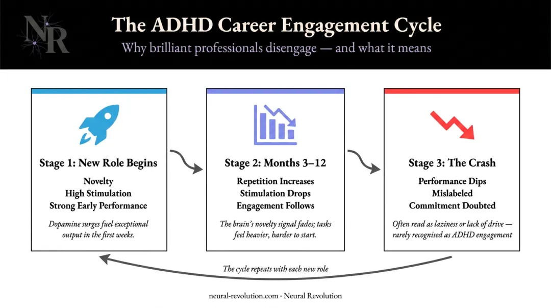 ADHD hyperfocus-then-dropout career cycle three-stage pattern infographic