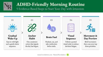 Five-step ADHD morning routine process from gradual wake-up to day preview