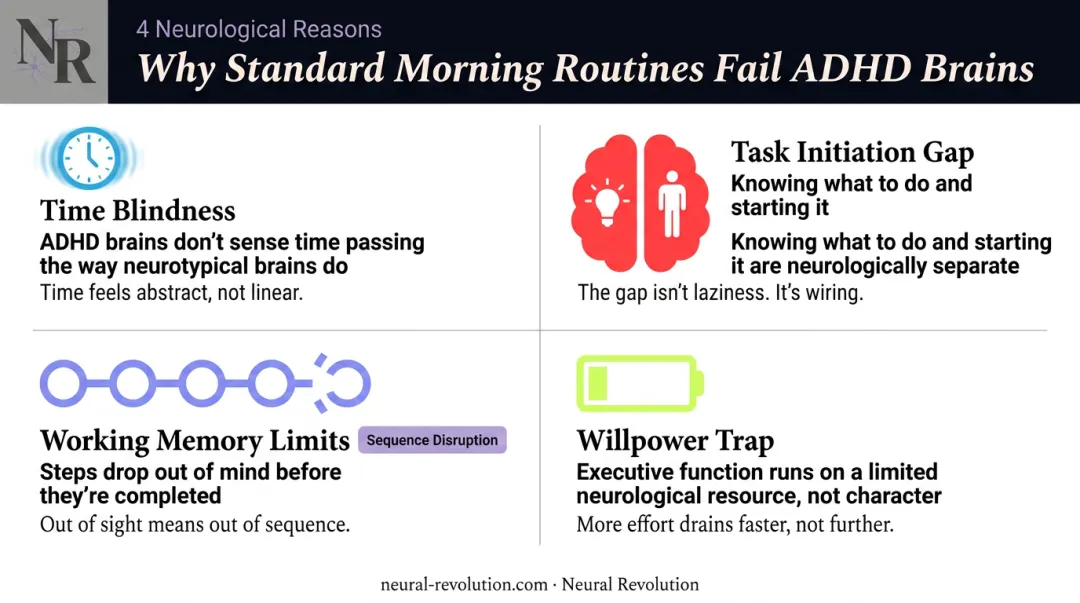 Four ADHD morning routine failure causes time blindness task initiation working memory willpower