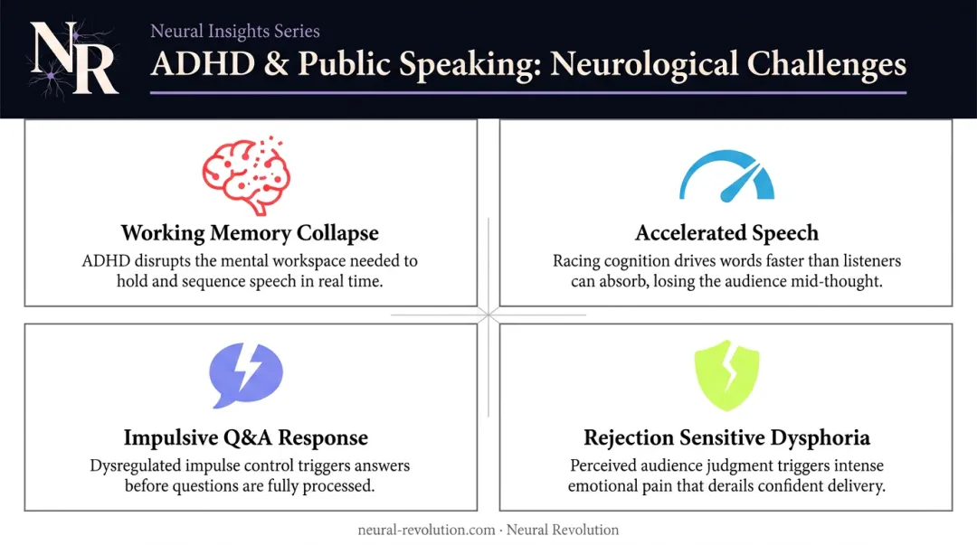 Four ADHD public speaking challenges brain diagram working memory RSD pacing