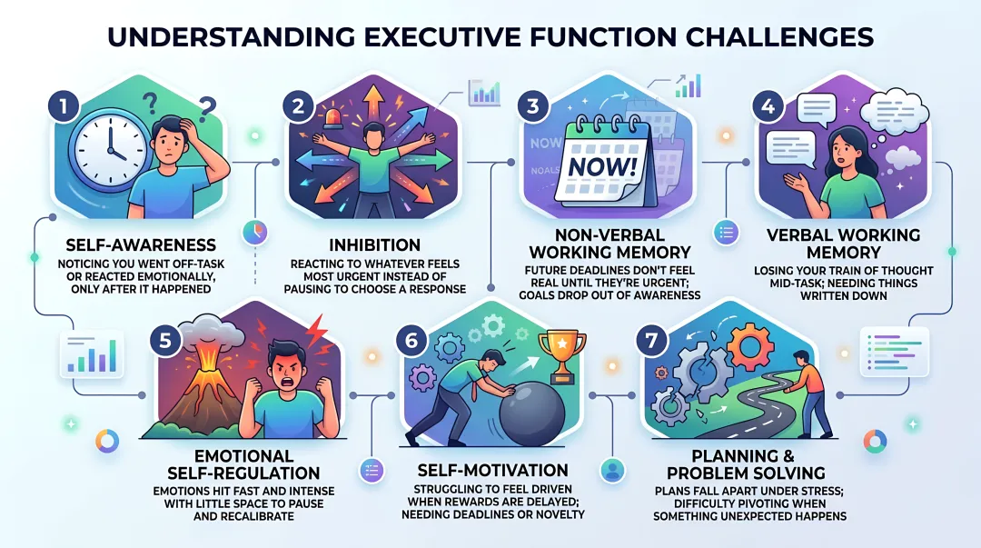 Seven ADHD executive function domains and daily life impact comparison chart