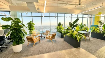 WELL Certified office interior with abundant natural light and open wellness-focused workspace design