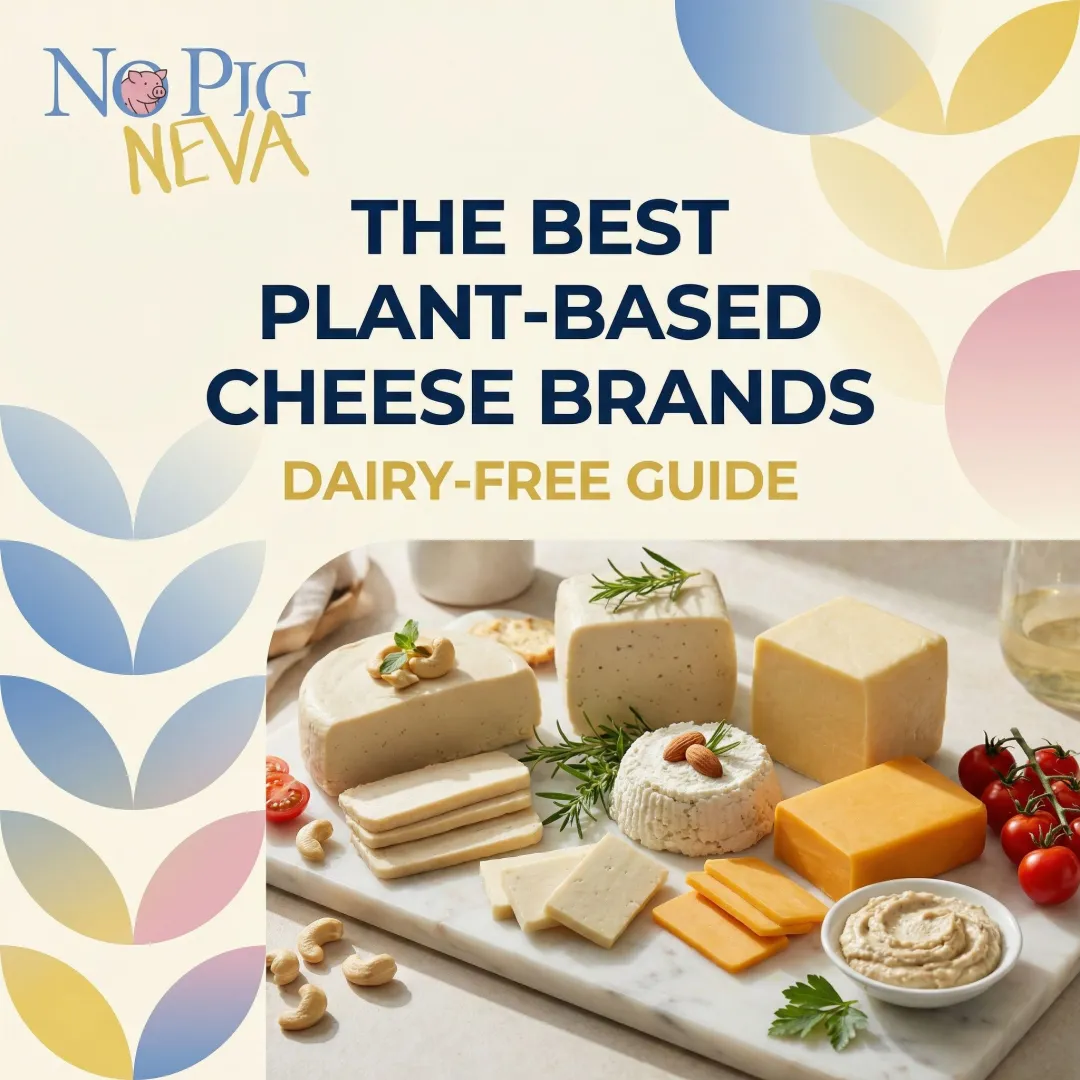 The Best Plant-Based Cheese Brands — Dairy-Free Guide