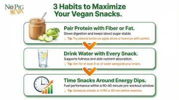 three habits to maximize vegan protein snack satiety and energy process infographic