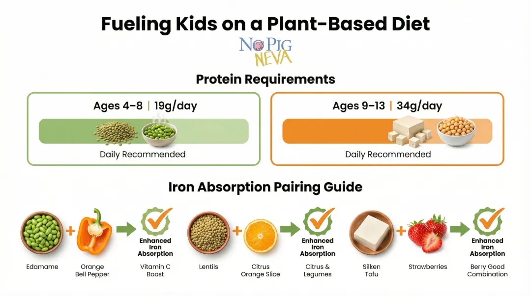 Children's daily protein requirements and plant-based iron absorption pairing guide
