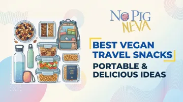 Best Vegan Travel Snacks — Portable &amp; Delicious Ideas