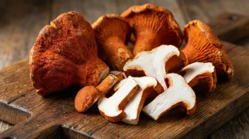 Fresh lobster mushrooms with distinctive red-orange crust on wooden surface