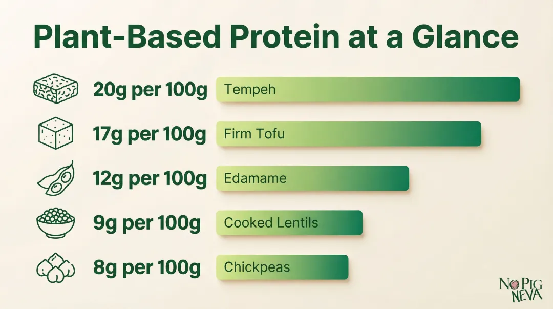 Vegan plant-based protein sources comparison chart with protein grams per serving