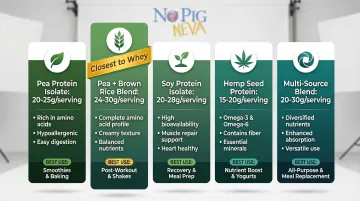 Five best vegan protein powder types comparison chart with protein content and key features