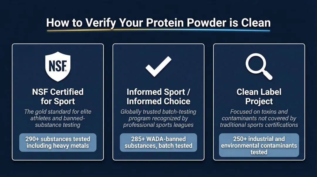 Three vegan protein powder third-party certifications explained with testing standards comparison