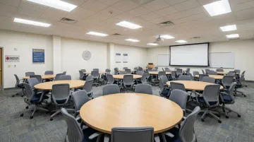 Government & Public Sector