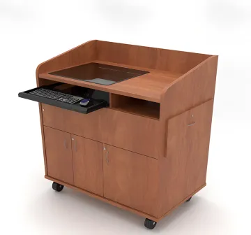 Government & Institutional