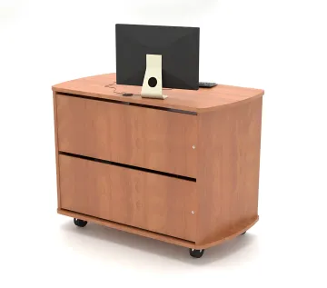 Corporate & Conference