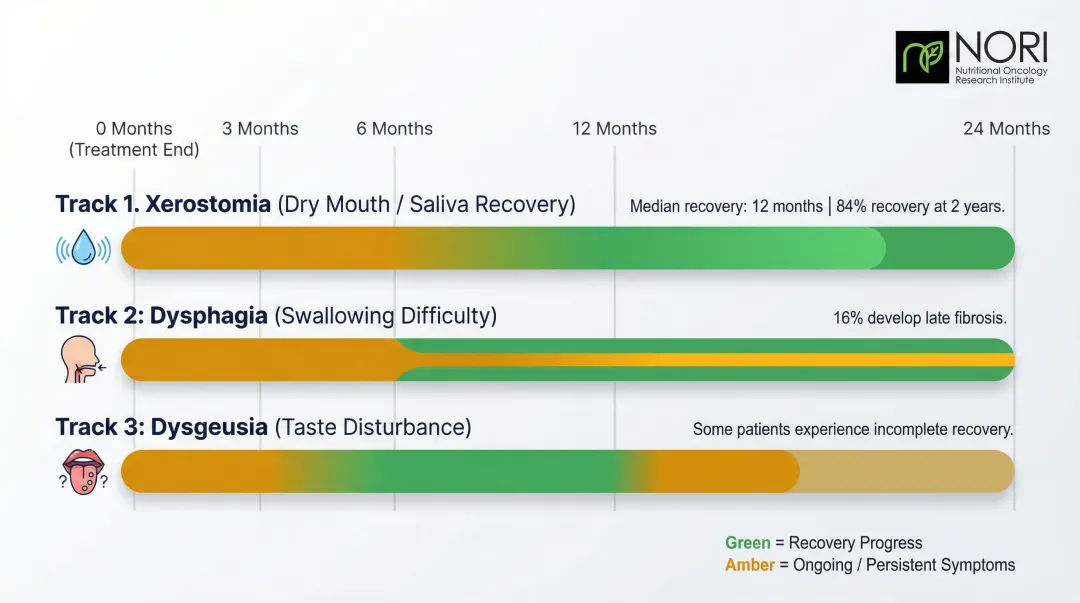 Post-radiation recovery timeline showing xerostomia dysgeusia and dysphagia healing milestones