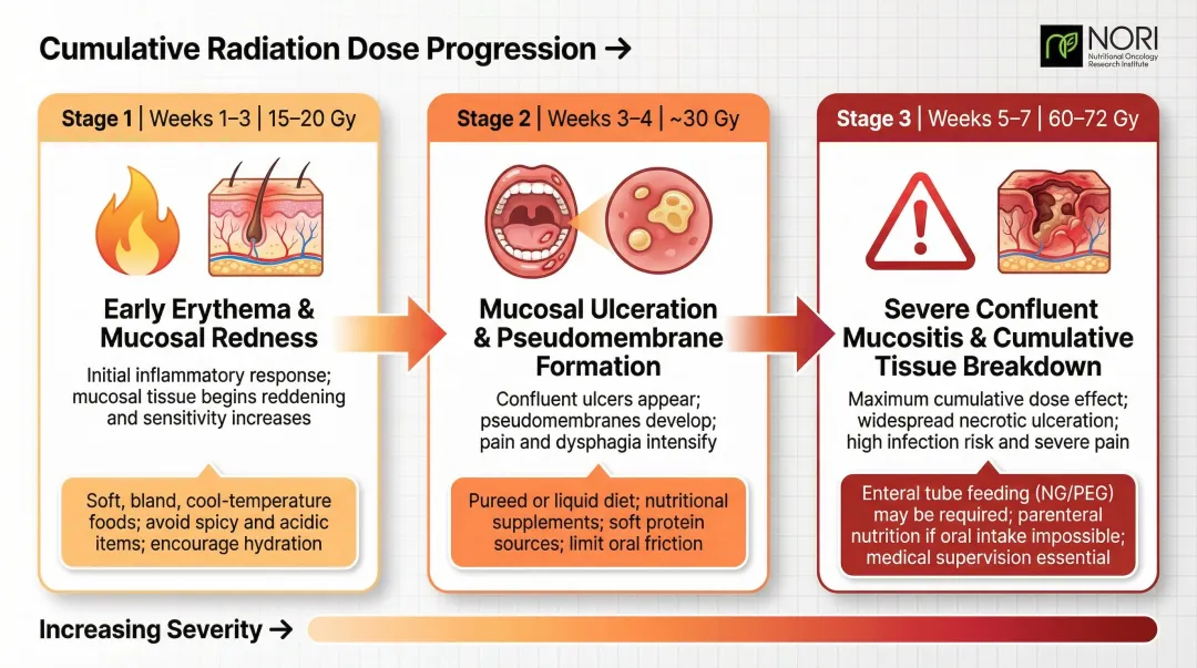 Radiation dose progression timeline showing three stages of throat tissue damage
