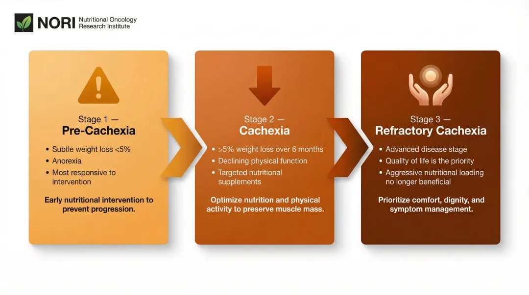 Three clinical stages of cancer cachexia progression from pre-cachexia to refractory