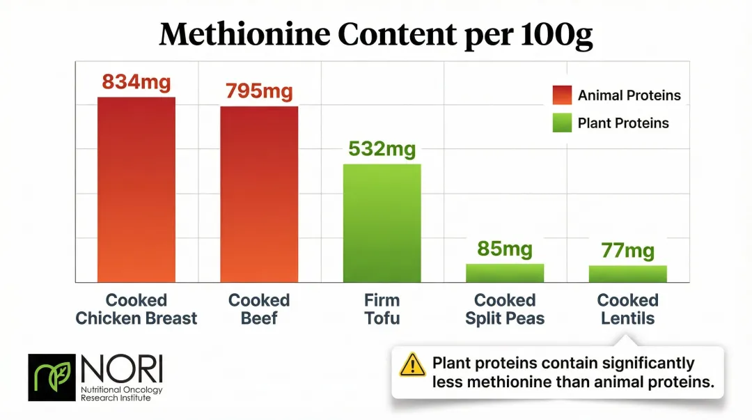 Methionine content comparison chart plant proteins versus animal proteins per 100g