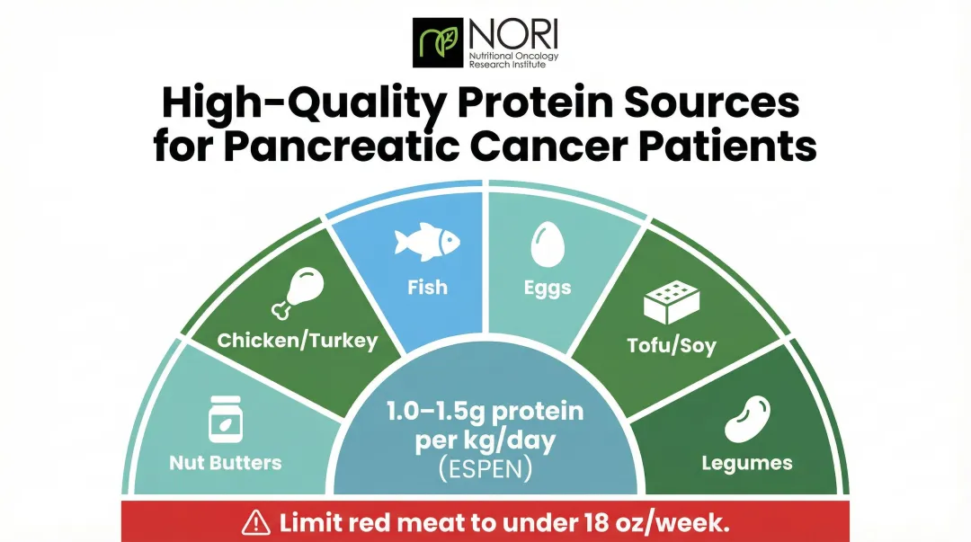 Best protein sources for pancreatic cancer patients daily intake guide