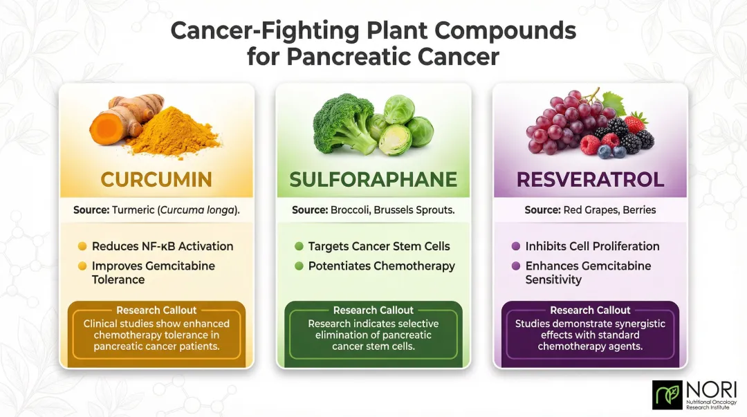 Three cancer-fighting plant compounds curcumin sulforaphane and resveratrol benefits infographic