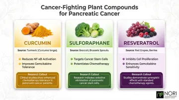 Three health-supporting plant compounds curcumin sulforaphane and resveratrol benefits infographic