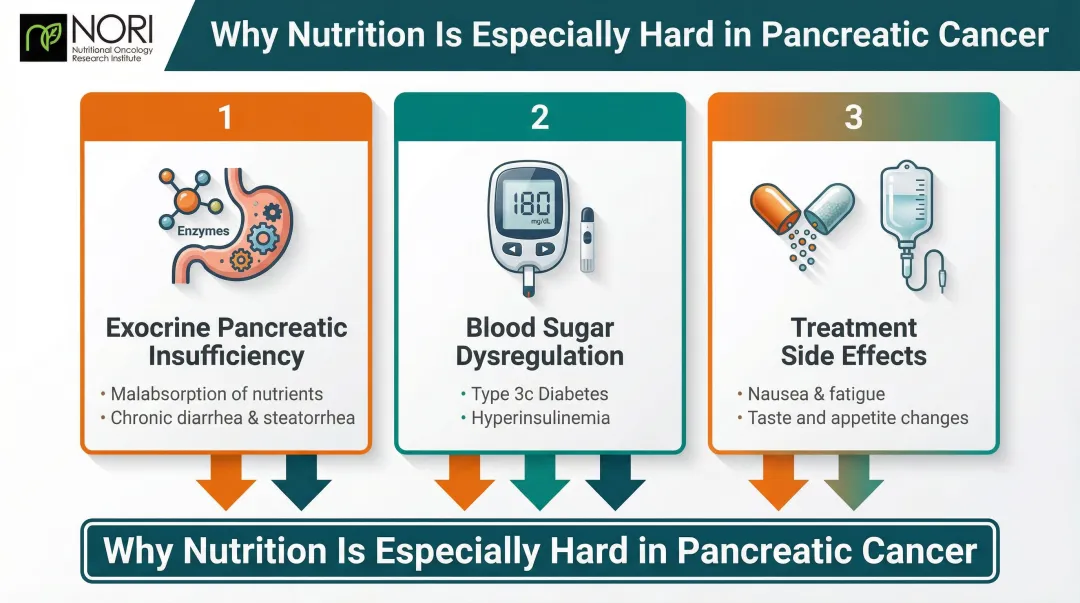 Three pancreatic cancer nutrition challenges EPI blood sugar and treatment side effects
