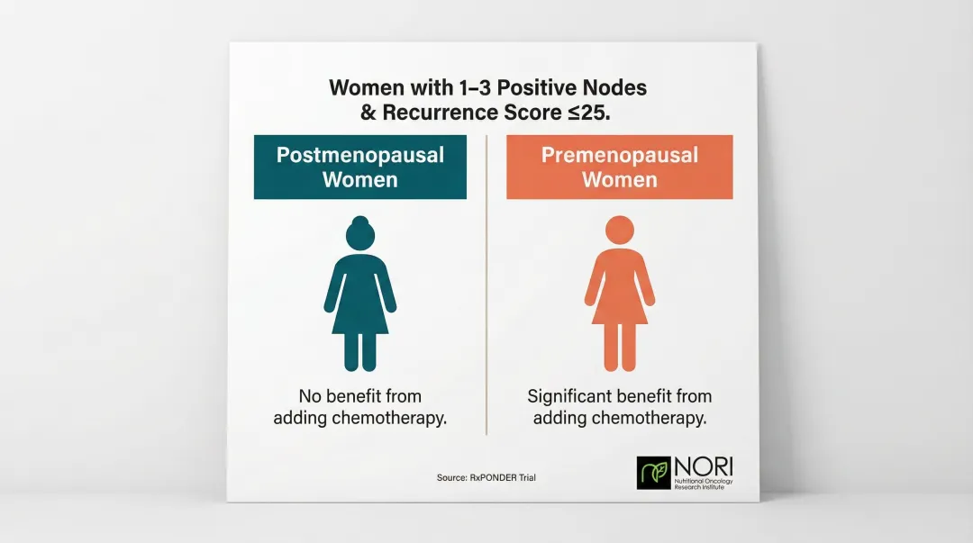 Menopausal status effect on chemotherapy benefit for breast cancer patients infographic