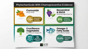 Four key chemopreventive plant compounds mechanisms and clinical evidence summary