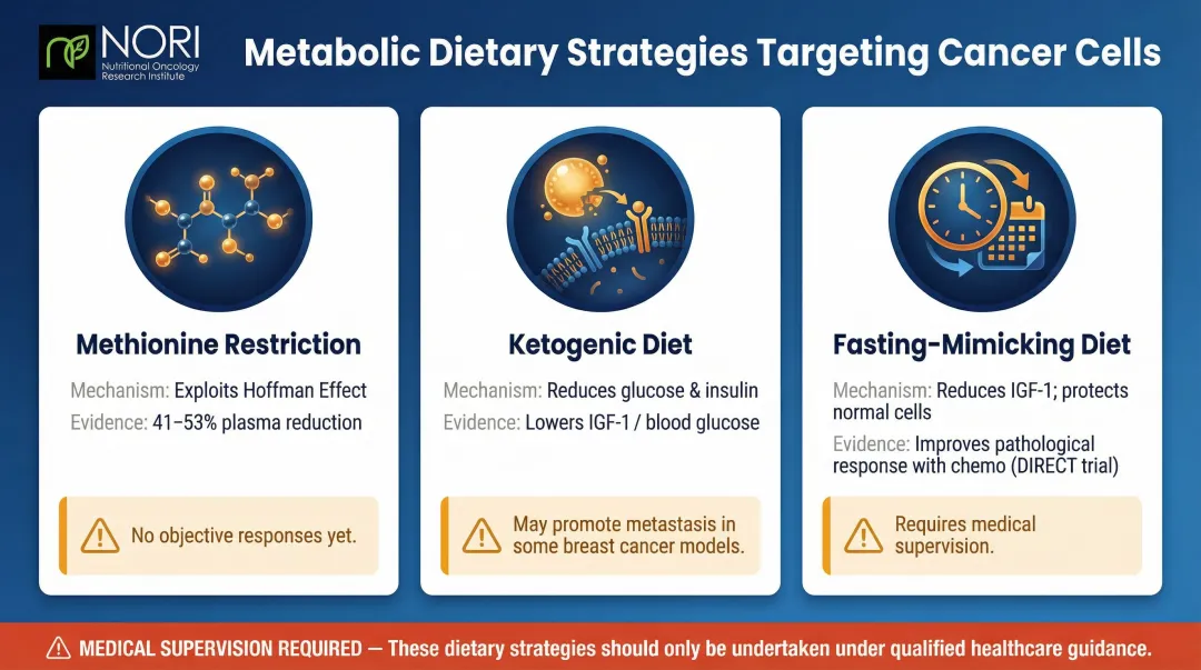 Three metabolic dietary cancer strategies mechanisms evidence and safety comparison