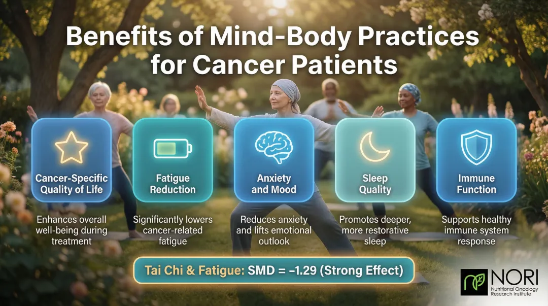 Mind-body practices for cancer patients benefits overview infographic