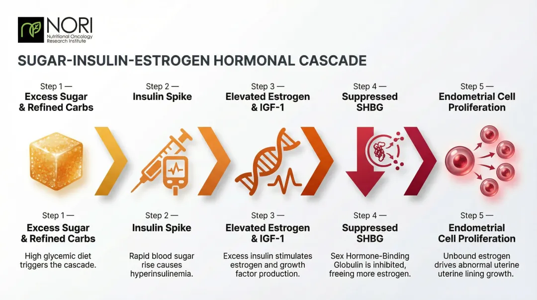 Sugar insulin estrogen cascade driving endometrial cancer cell proliferation