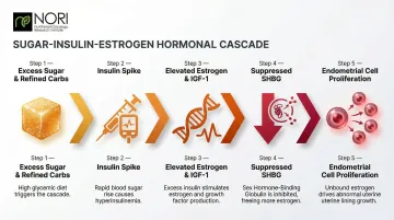 Sugar insulin estrogen cascade driving endometrial cancer cell proliferation