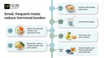 Six-meal NET-friendly daily eating schedule with times and example foods