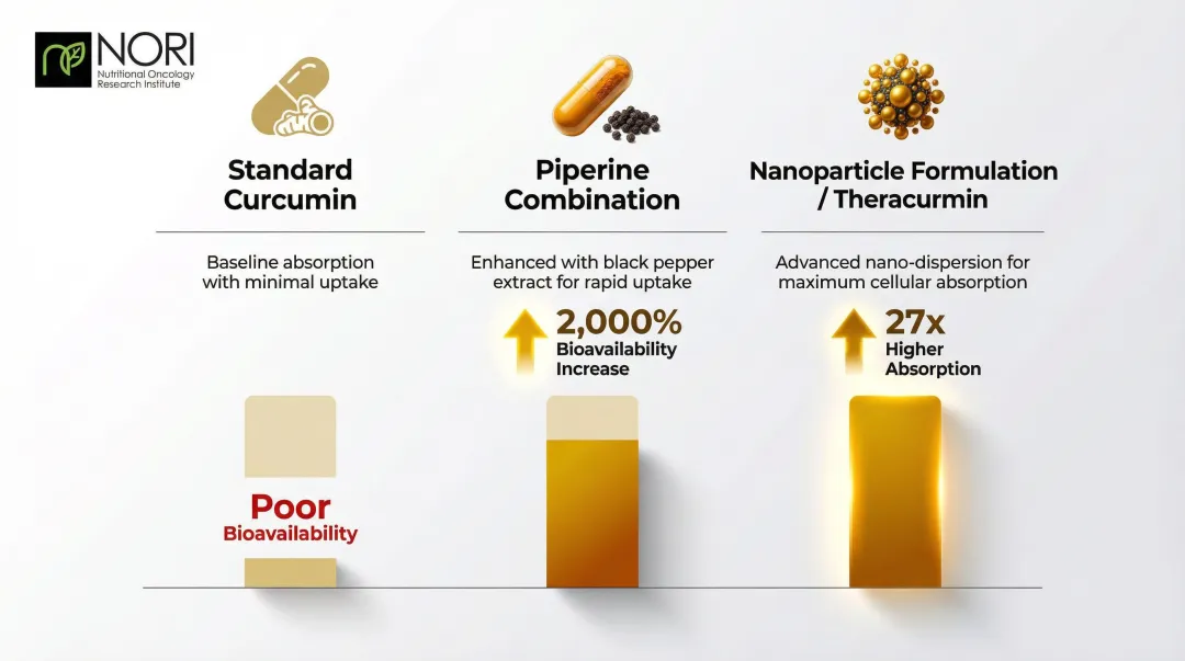 Curcumin bioavailability comparison showing piperine and nanoparticle enhancement methods
