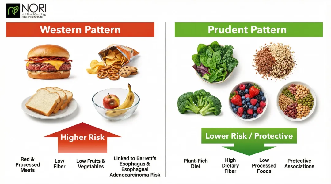 Western versus prudent dietary pattern esophageal cancer risk comparison side by side