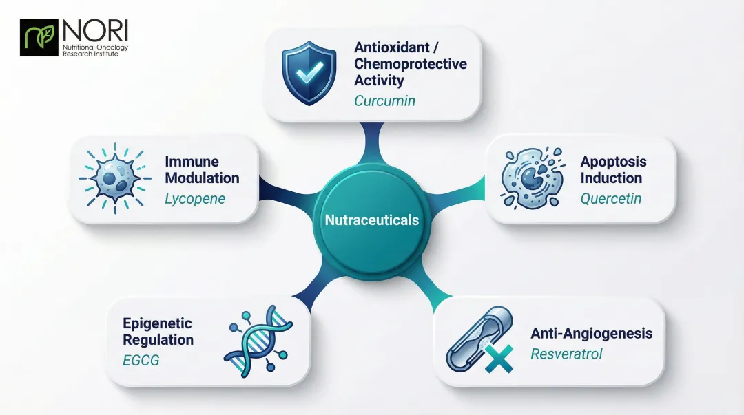 Five anticancer mechanisms of nutraceuticals from antioxidant activity to immune modulation