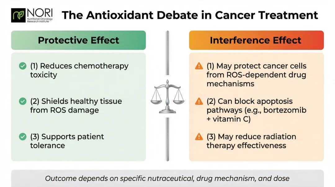Antioxidant nutraceuticals during chemotherapy protective versus interference effects comparison