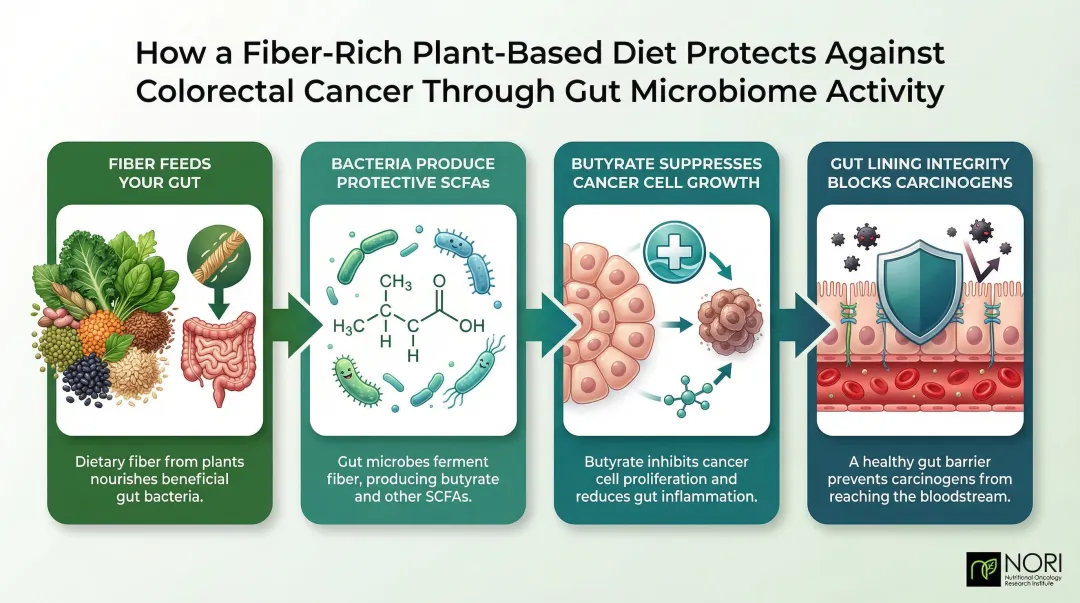 4-mechanism gut microbiome and fiber cancer prevention process infographic