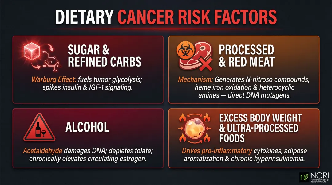 Four dietary cancer risk factors sugar processed meat alcohol excess weight mechanisms infographic