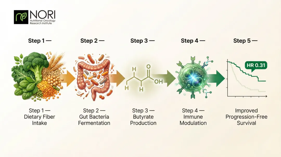 Butyrate production pathway from dietary fiber to improved progression-free survival outcomes