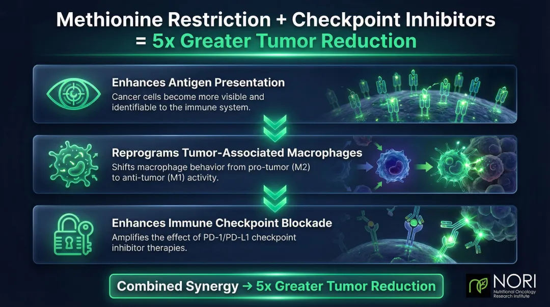 Methionine restriction three mechanisms enhancing checkpoint inhibitor immunotherapy efficacy
