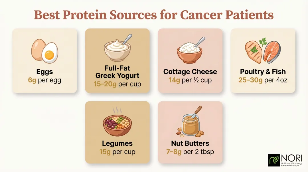 Top high-protein foods for cancer patients with gram counts infographic