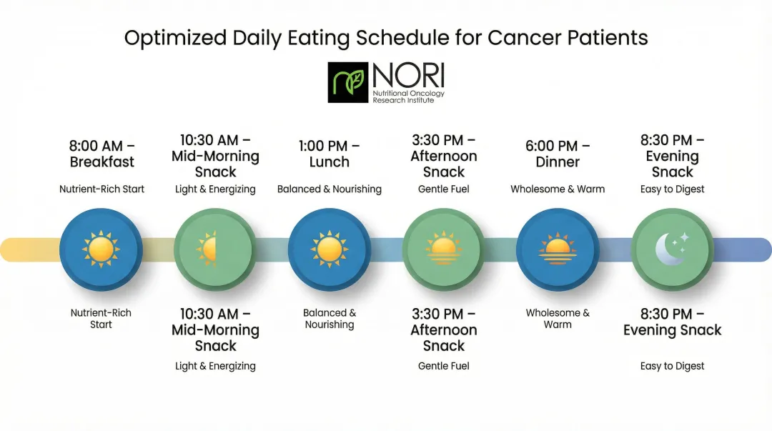 6-meal daily eating schedule for cancer patients during chemotherapy treatment
