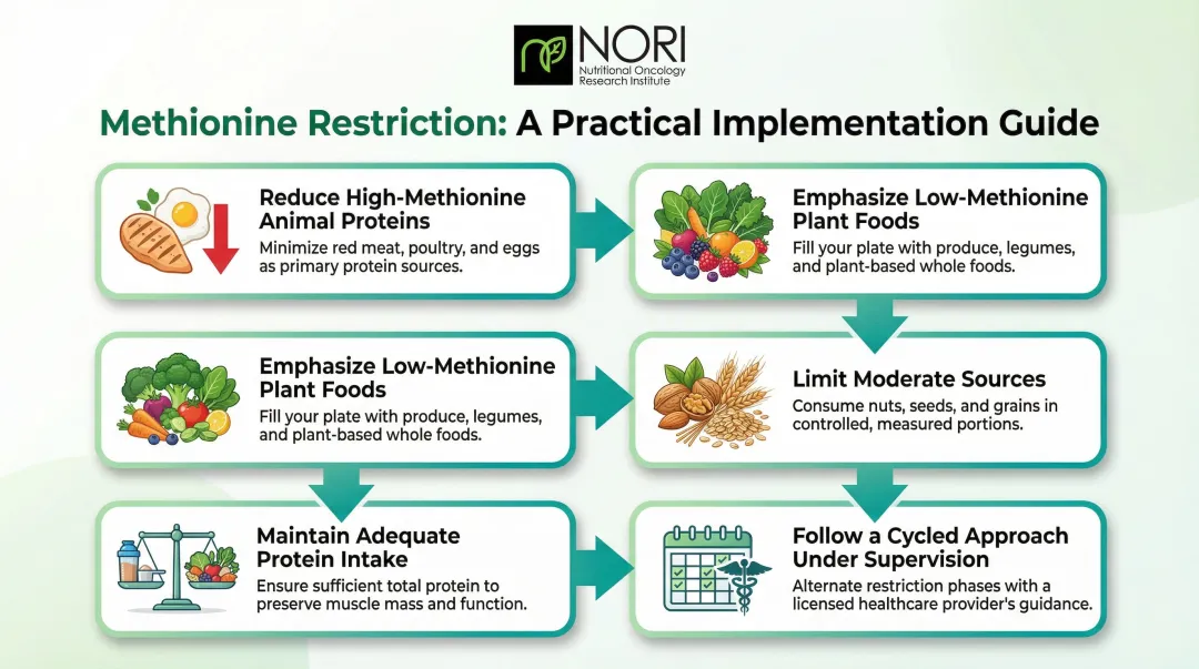 Methionine restriction dietary protocol five-step implementation guide for cancer patients