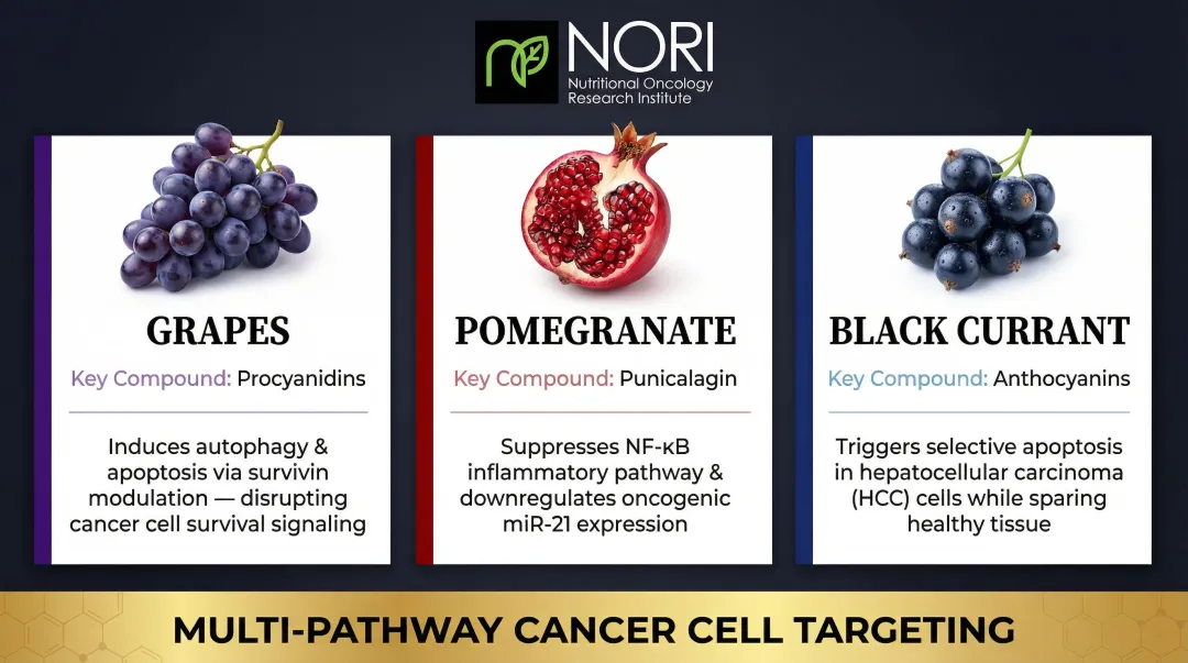 Three polyphenol-rich fruits and their liver cancer fighting mechanisms comparison