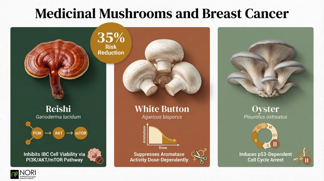 Three medicinal mushroom species and their anti-cancer mechanisms for breast cancer