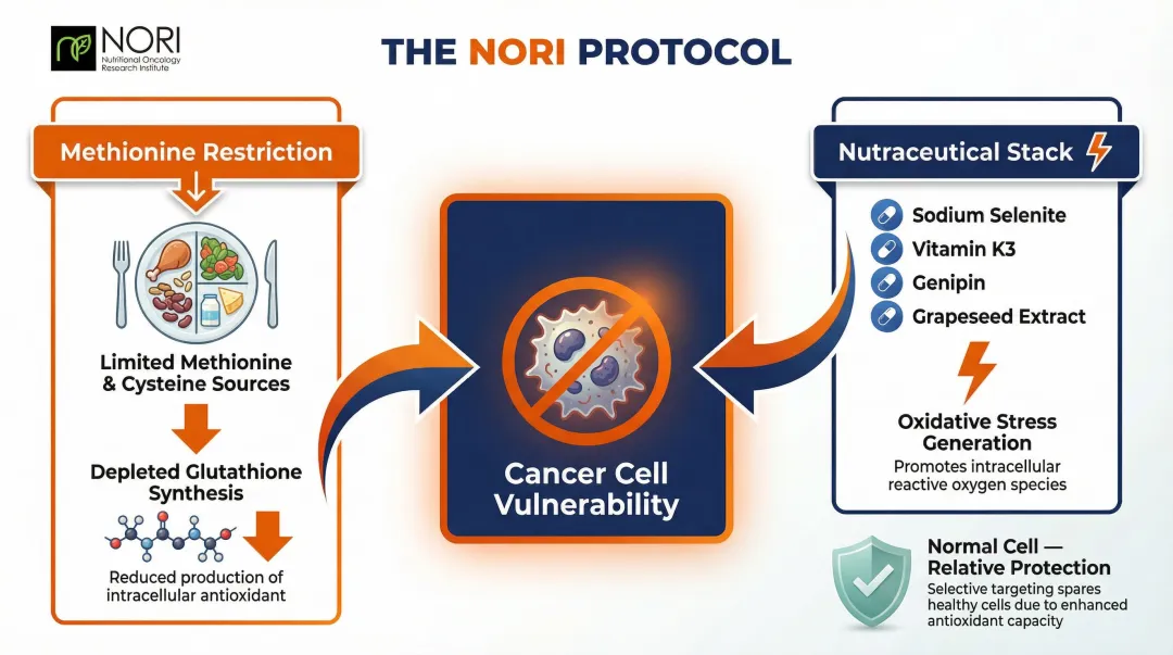 NORI Protocol methionine restriction and nutraceutical stack mechanism targeting cancer cells
