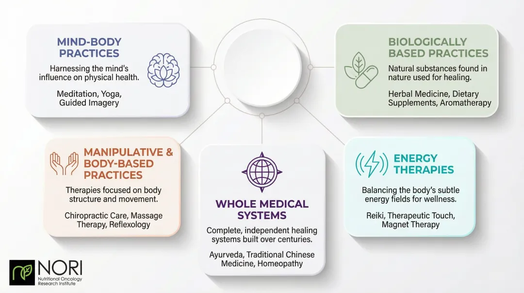 Five CAM therapy categories for lung cancer patients visual breakdown