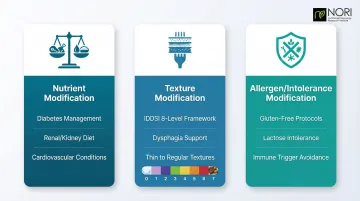 Three therapeutic diet modification categories nutrient texture and allergen framework infographic