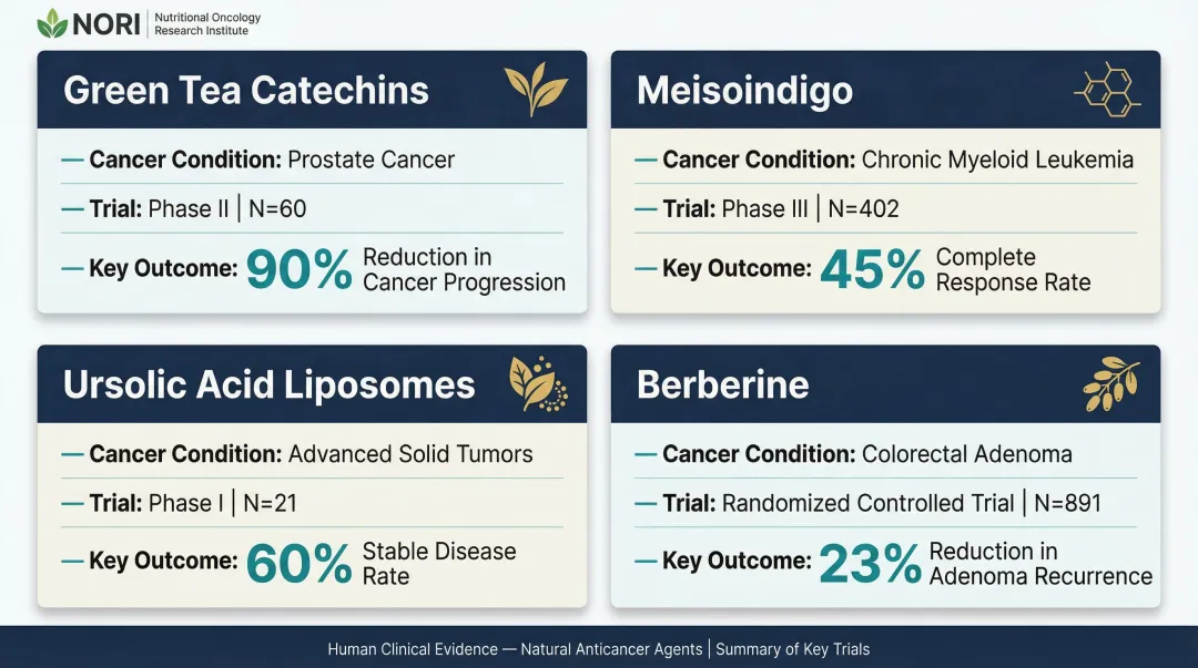 Natural anticancer compounds clinical trial evidence summary comparison table infographic